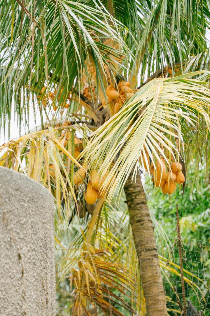 Saipan Emerald Villa Kültér fotó